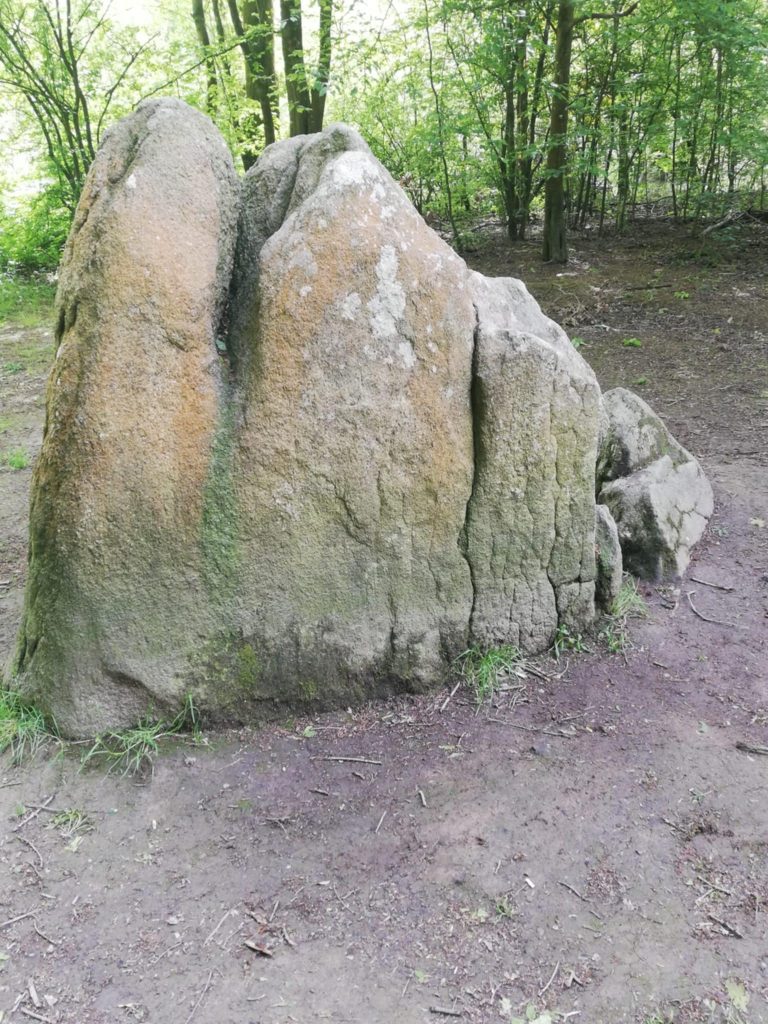 Les menhirs de pierre sur la commune de Pont Saint Martin en Loire-Atlantique (Source : Photo prise par la famille Duveau)